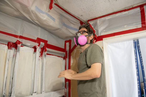 Best Asbestos and Lead Testing During Mold Inspection  in Comanche, OK